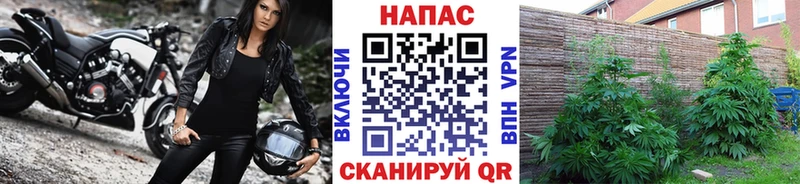 Купить закладку Тамбов Альфа ПВП  Меф мяу мяу  Марихуана  Кокаин 