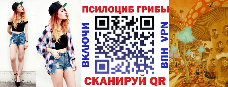Галлюциногенные грибы ЛСД  Тамбов 